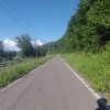 Radweg entlang dem Rhein