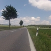 Birrfeld