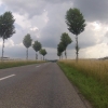 Baumallee im Reusstal