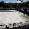 Viel Wasser in der Aare