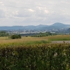 Stein