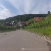 Durch die Rebberge ins Limmattal