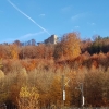 Schloss Habsburg über herbstlich farbenem Wald
