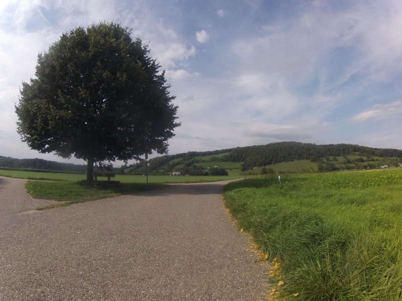 Radweg im Birrfeld