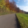 Herbstlicher Waldrand zwischen Schafisheim und Seon