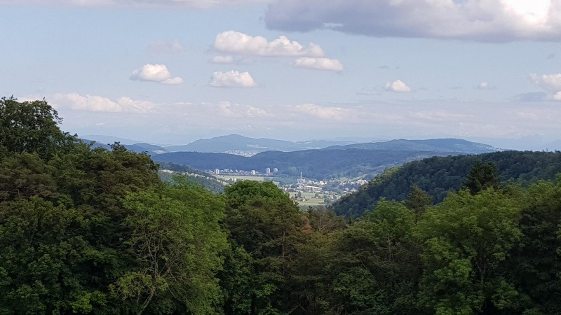 Blick vom Rotberg gegen Süden