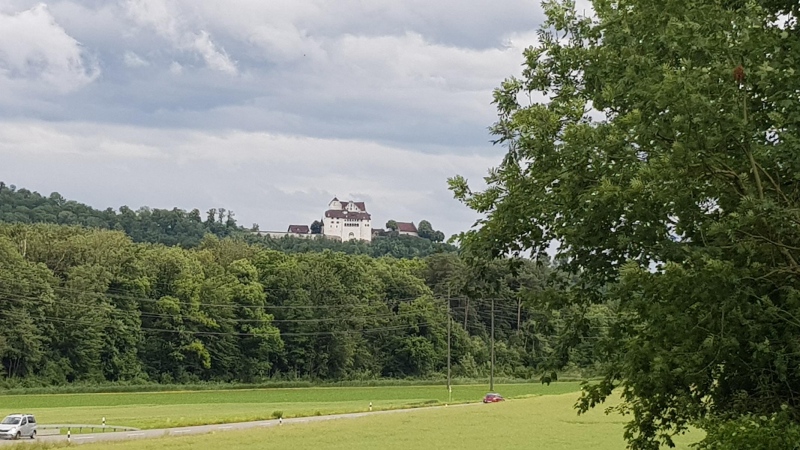 Blick zum Schloss Wildegg, Veltheim