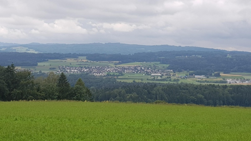 Blick vom Mutschellen über das Reusstal nach Niederwil