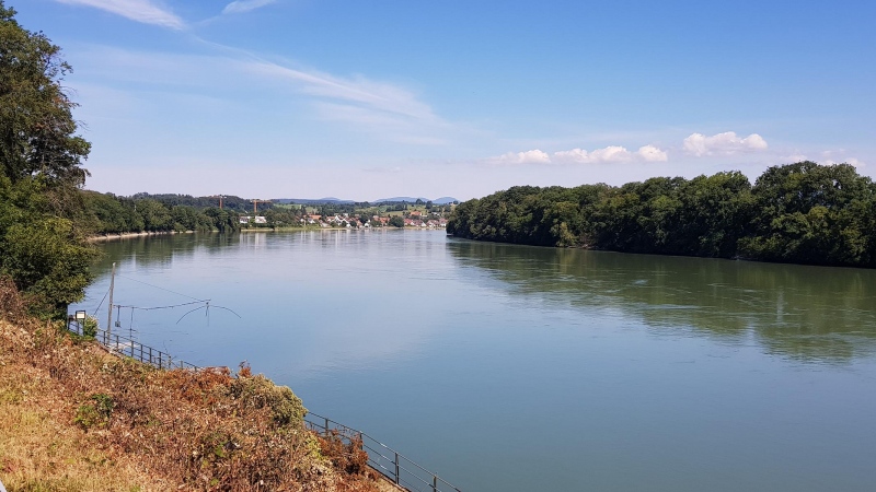 Blick auf den Rhein beim Mumpf