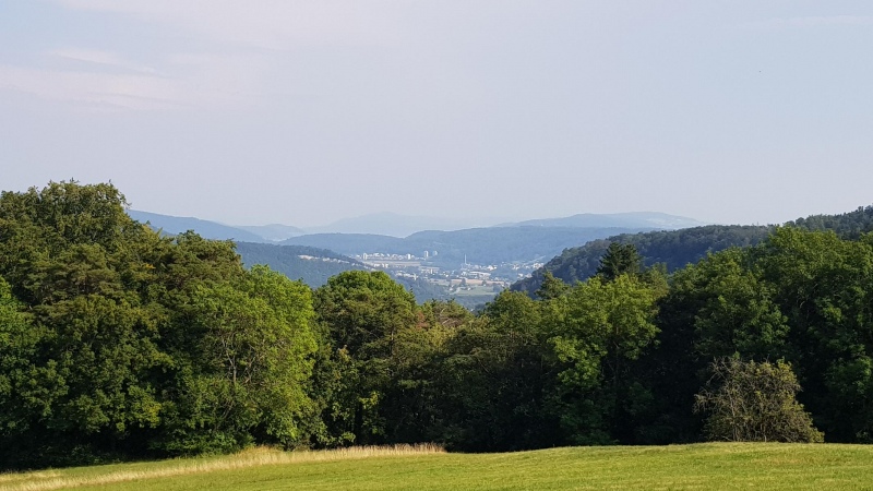 Blick vom Rotberg in Richtung Limmattal