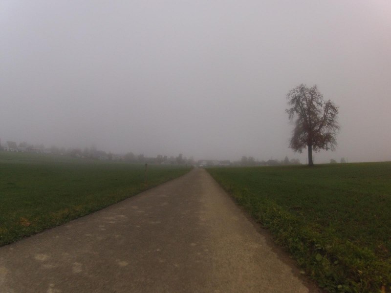 Nebel im Reusstal
