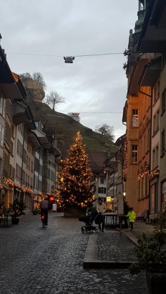 Weihnachtsbaum in Lenzburg