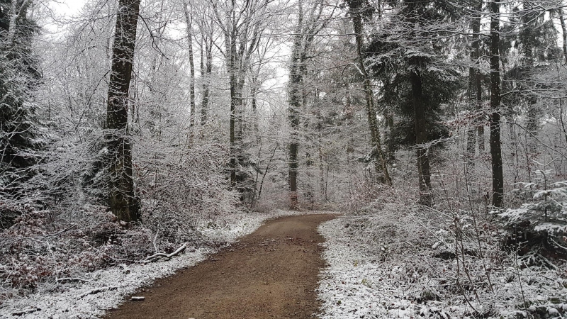 Schnee am Bözberg
