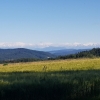 Blick zum Alpenkamm aus der Nähe der Linner Linde