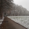 Schnee am Bözberg