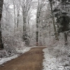 Schnee am Bözberg