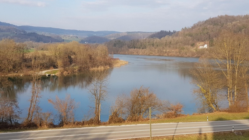 Rhein bei Rümikon