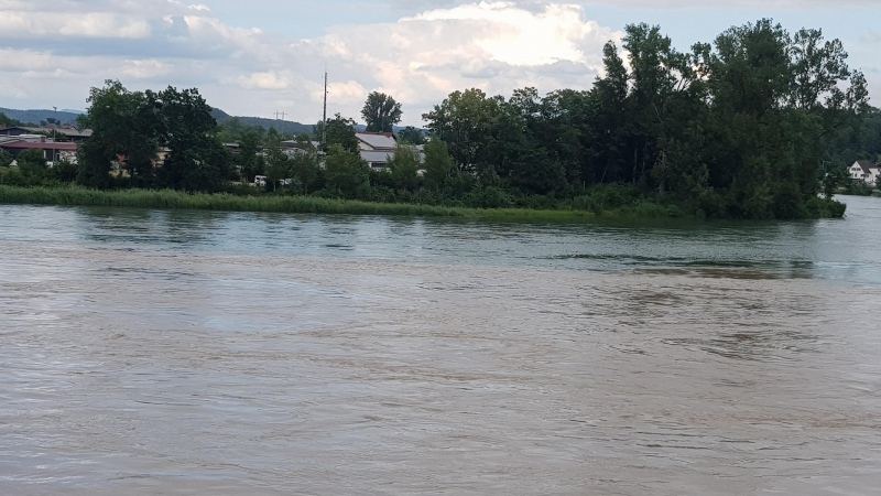 Aaremündung in den Rhein