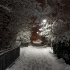Brugger Quartier im Schnee