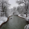 Arm der Aare bei Brugg