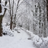 Brugg im Winter