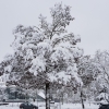 Viel Schnee