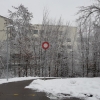Schwarz/weiss und rot