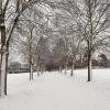 Radweg in Windisch