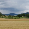 Getreidefelder im Aaretal