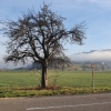 Nebel über der Aare und am Bruggerberg