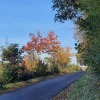 Herbstfarben an der Autobahn