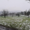 Erster Schnee