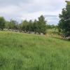 beim Golfplatz Otelfingen