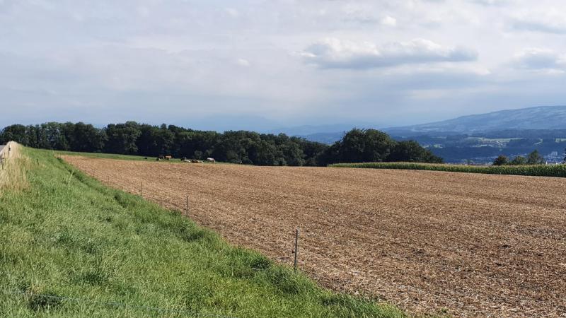 Reusstal-Mutschellen-Limmattal