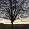 Abendstimmung über dem Birrfeld