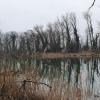 Der Aare entlang
