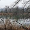 Der Aare entlang