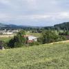 Blick ins Reusstal