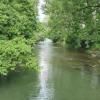 Nebenarm der Aare