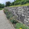 Schlossgarten Wildegg zwischen Rosen und Reben