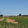Blick zu den Alpen, Standort Birrfeld