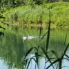An der Aare
