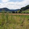 Am Radweg von Remigen nach Mönthal