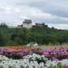 Schloss Wildegg