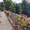 Blumenbrücke in Turgi