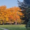 es herbschtelet