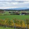 Blick zu den Alpen