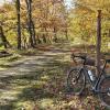 Herbst an der Aare