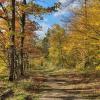 Herbst an der Aare