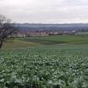 November im Reusstal